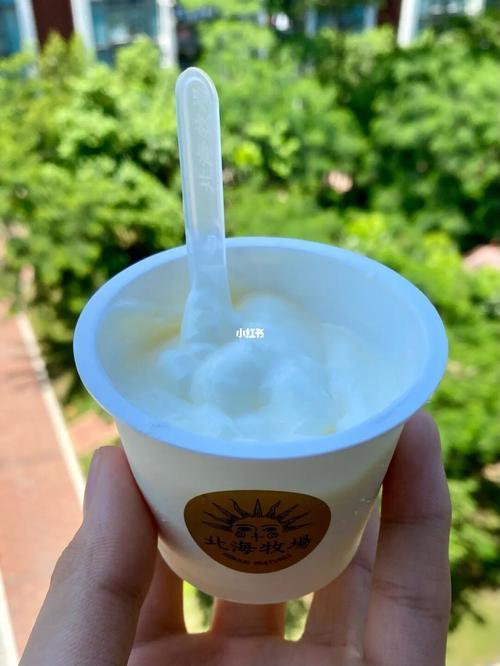 浓浓的酸奶是什么意思