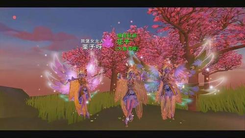 创造与魔法粉色的小花哪里最多