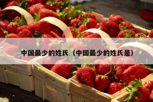 姓氏最少的