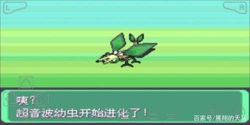 四针鳄龙配招