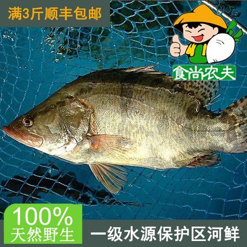 广东桂花鱼价目表
