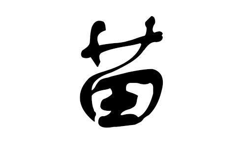 2020年苗姓人口多少