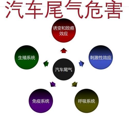 汽车尾气能影响马路两侧多少米
