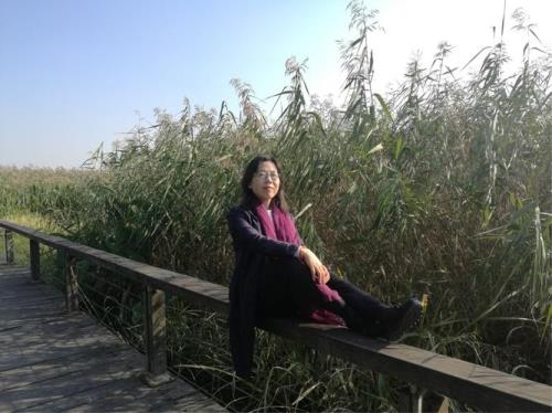 我爱芦苇的作者是谁