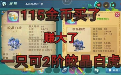 创造与魔法白虎多少可以升