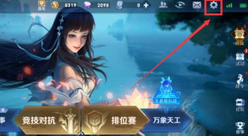 王者生涯天数怎么隐藏