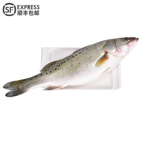 海鲈鱼干属于农产品吗