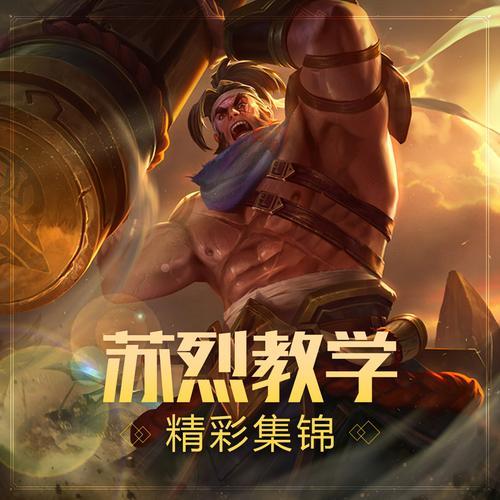 苏烈十个技巧教学