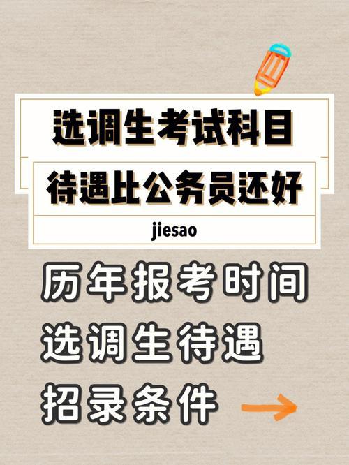 985选调生是公务员吗