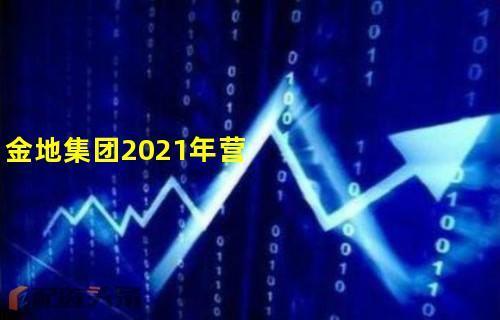 金地集团是国企吗