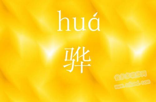 “从”的读音是几声