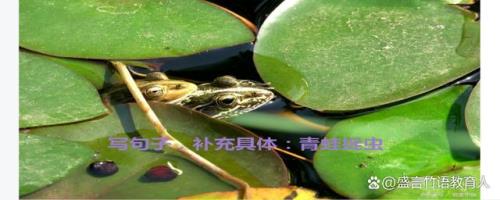 青蛙从洞里爬出来扩句