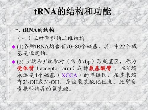 trna为什么被称为转运