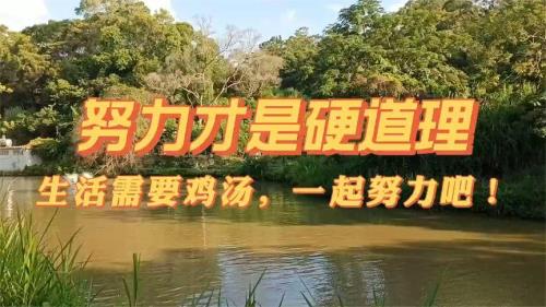 吃饱才是硬道理的说说