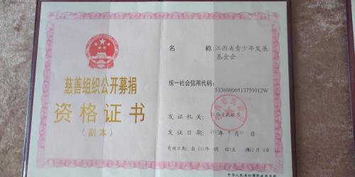 慈善组织应当多久向社会公开