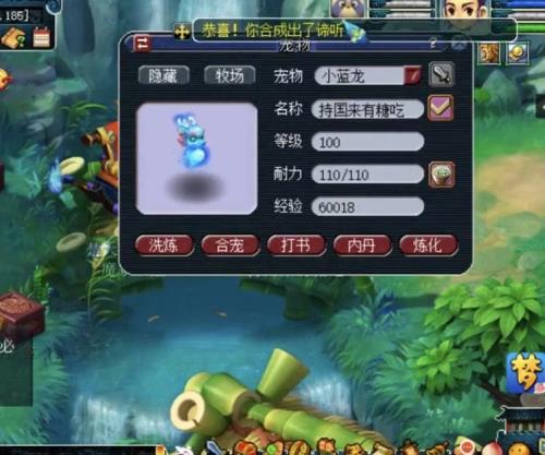 梦幻西游练宠45级后去哪里