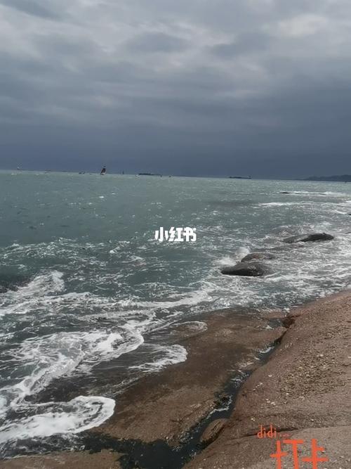 青岛海域属于什么海