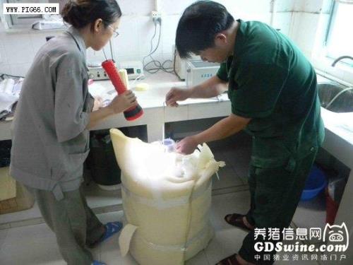 猪冻精怎么使用