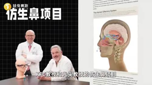 嗅觉失灵可以考公务员吗