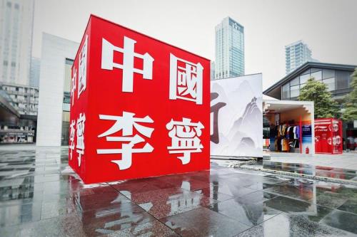 李宁其他标志是什么样子