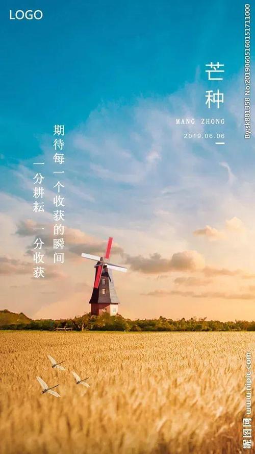 八月丰收的文案