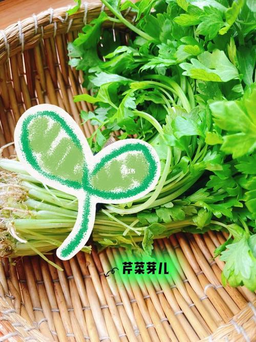 吃芽儿是什么意思
