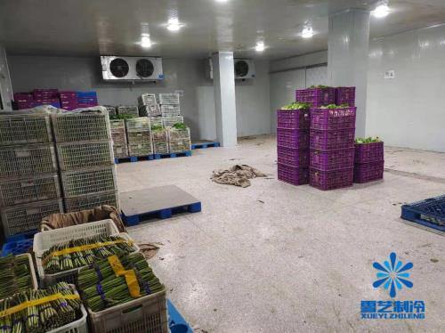 冷库水果常温能放多久
