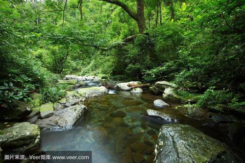 高山流水是什么暗语