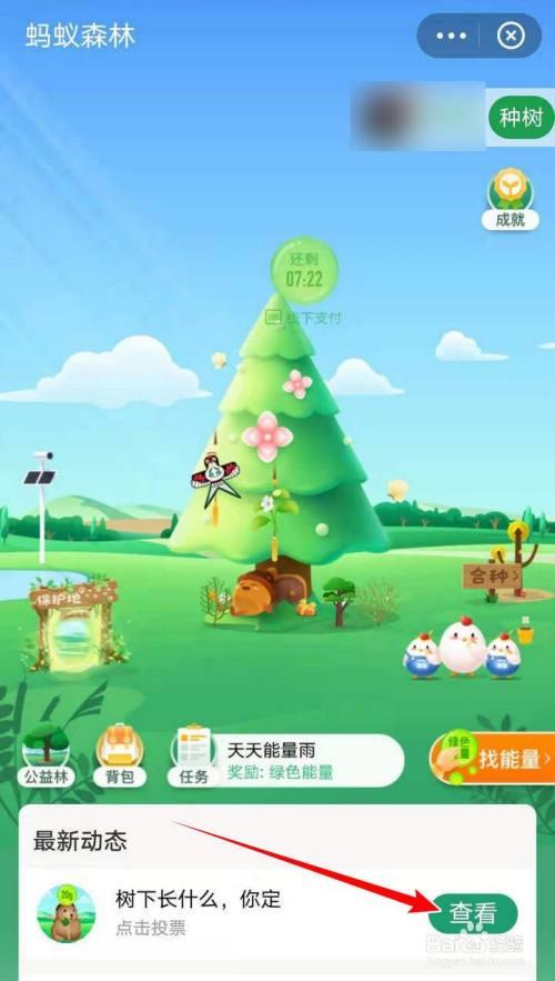 支付宝树苗什么时候更新