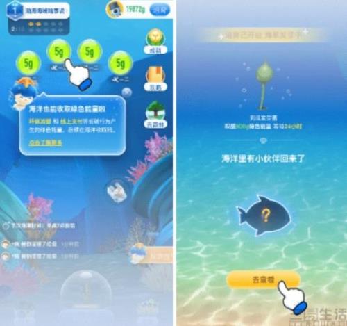 支付宝海洋植物怎么获得