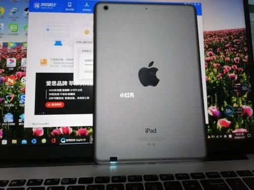 ipadmini2电池寿命能增加吗