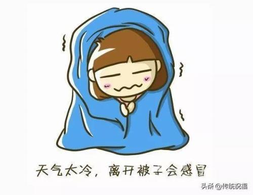 又到了寒冷季节歌词表达了什么
