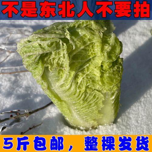 晚上零下4度白菜会冻吗