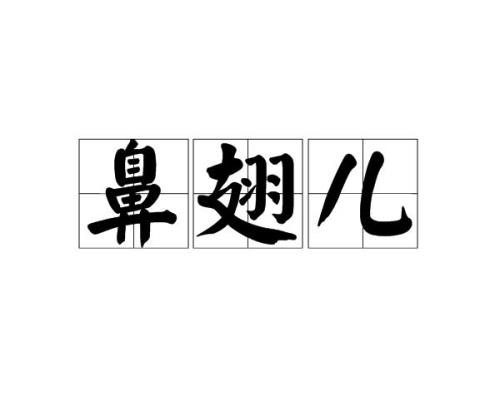 鼻的拼音是什么