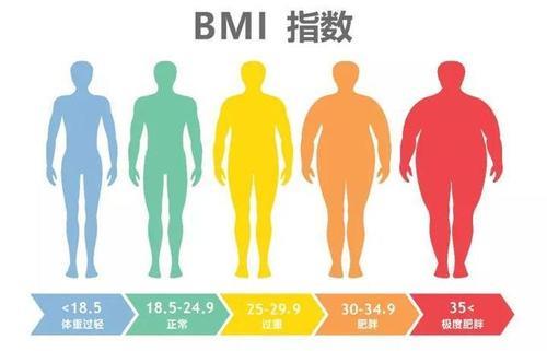 年轻女性bmi多少正常图片