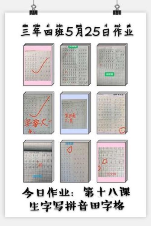 蜜蜂作业小程序怎么批改作业