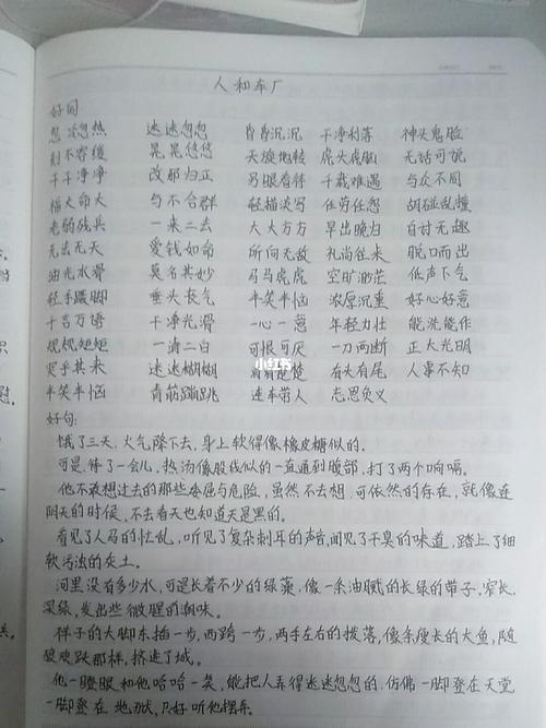 骆驼祥子7到8章好词好句
