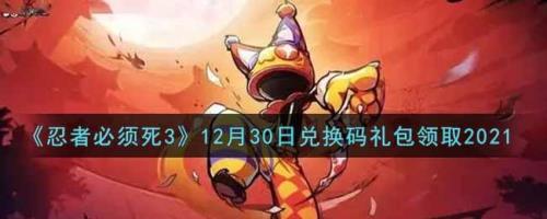 忍者必须死三元旦兑换码