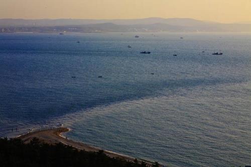 黄海渤海分界线高清图片