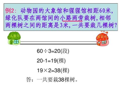 每两棵树之间的距离是2米