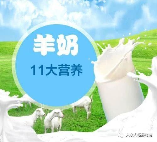 味泉鲜羊奶怎么样