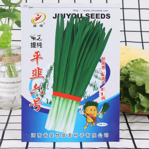 6一7份韭菜种子可以种吗