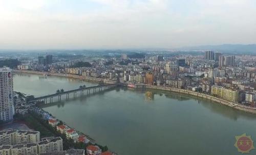 四会是哪四会