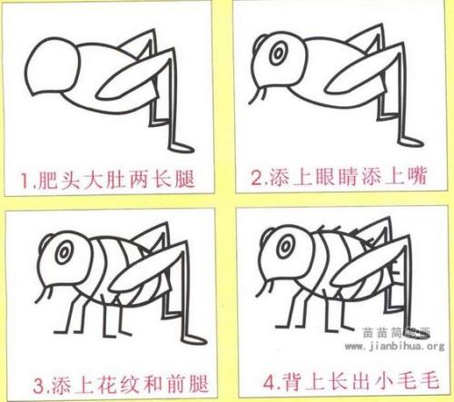 跳蚤简笔画图片