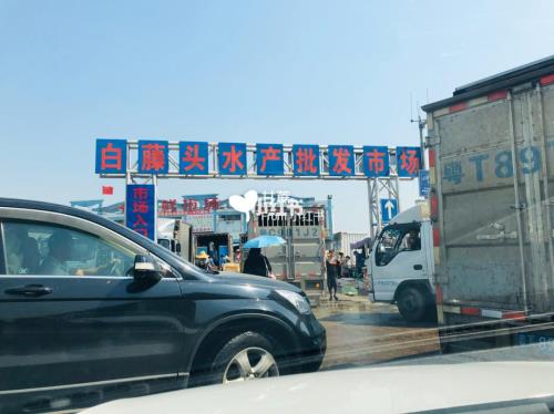 白藤头海鲜市场几点去比较好