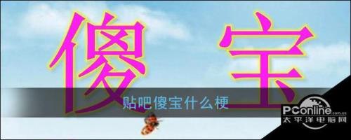 262代表什么意思