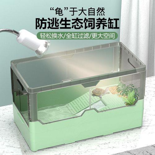 龟缸换水最佳时间