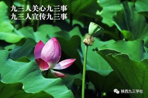 九三意思