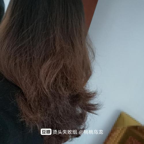 我的头发变成了森林是比喻句吗