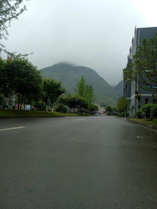 重庆飞机场到遵义道真县有多远